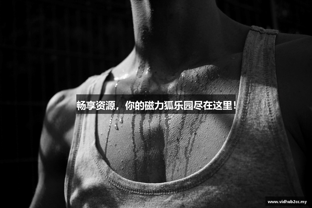 畅享资源，你的磁力狐乐园尽在这里！